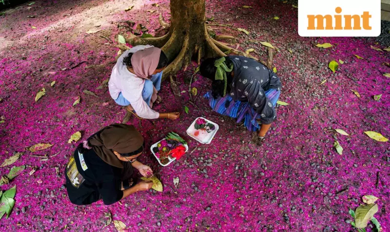 Kochi-Muziris Biennale 2025 Returns, Building 'Friendship Economies' with New Vision