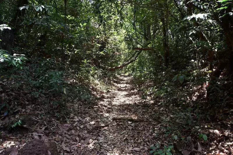 Kolhapur Forest Dept Bans Sanctuary Entry on Dec 30-31 to Protect Wildlife