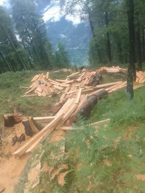 Kullu Ropeway Firm Tells NGT: Rs 35 Crore Spent, Project Halted by 'Anti-Social' Elements