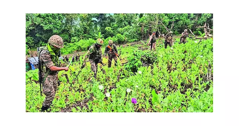 Latehar Police Destroy 16 Acres of Illicit Poppy Crops Using Drones and Tractors