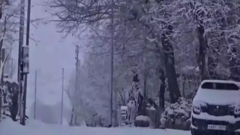 Leh's First Snowfall of Season Transforms Town into Winter Wonderland, -2°C Recorded