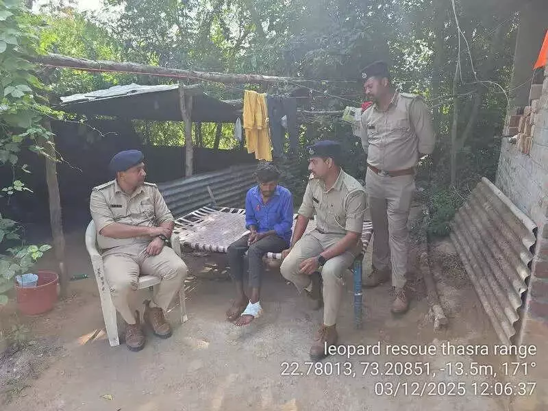 Leopard Attack in Kheda: 4 Injured, Village on High Alert as Search Continues