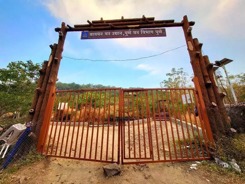 Leopard Sighting in Pune's Bavdhan Sparks Crowd Rush, Hinders Forest Dept Search