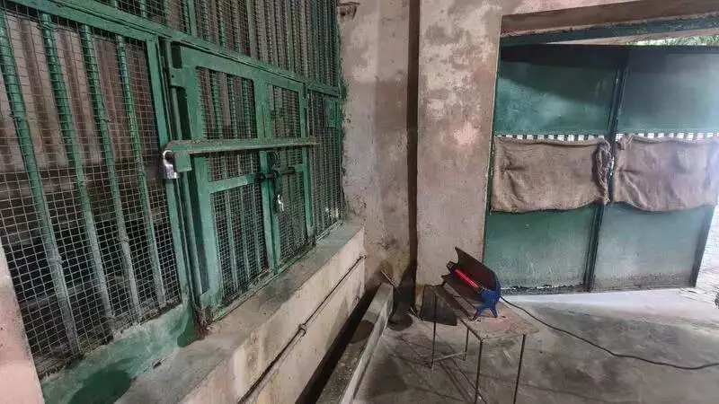 Lucknow Zoo's Winter Care: Heaters, Blankets & Special Diet for Animals