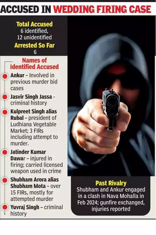 Ludhiana Wedding Firing: Accused Have 18+ FIRs, Links to Political Figures