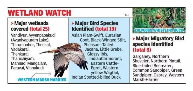 Madurai: 200 Volunteers Join Synchronized Wetland Bird Census 2025