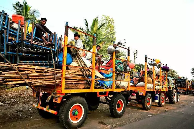 Maharashtra fines 3 sugar mills Rs 14 crore for early crushing