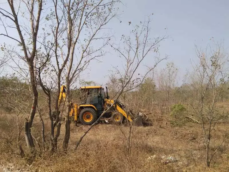 Maharashtra Village Protests as 5,000+ Trees Felled for Solar Project