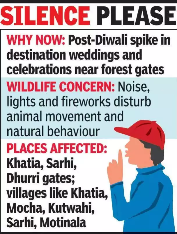Mandla Bans Loud Music, Fireworks Near Kanha Tiger Reserve Until Jan 5