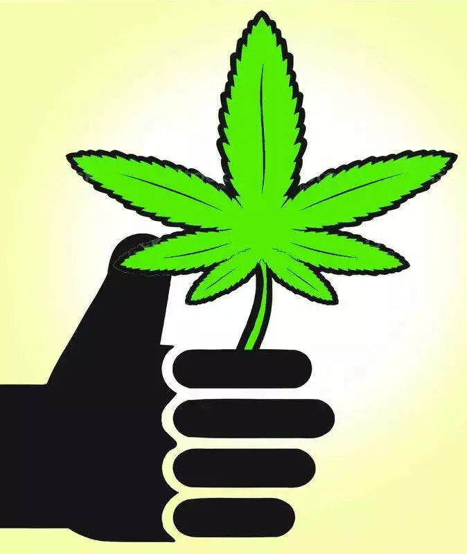 Mangaluru Court Sentences Man to 5 Years in Jail, Rs 50,000 Fine in NDPS Case