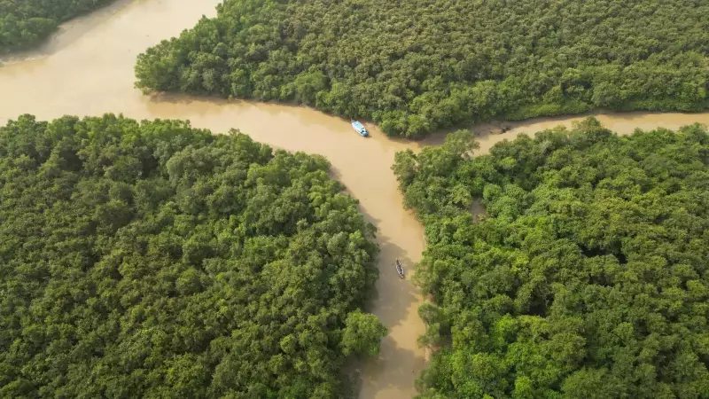 Mangrove Festival Highlights Bhitarkanika's Ecological Shield & Threats