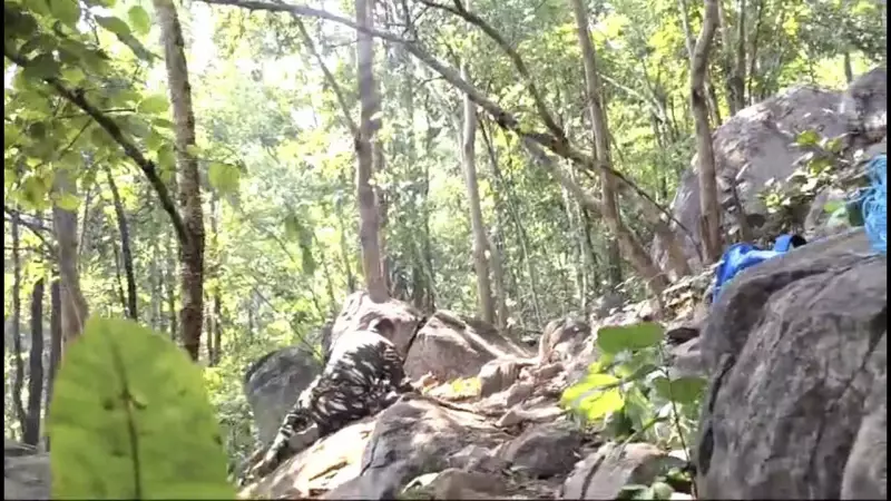 Maoist Leadership Crisis Deepens: Ganesh Uike's Death Adds to CPI (Maoist) Woes in Odisha