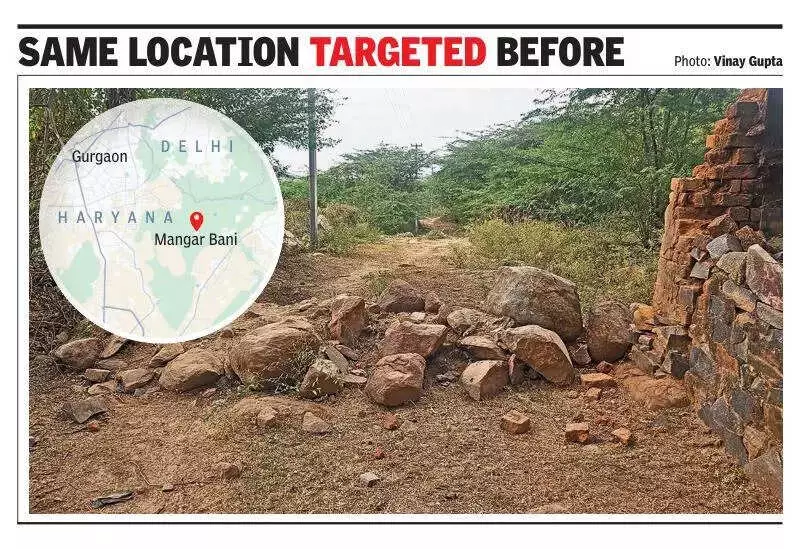 Midnight Trucks Target Mangar Aravalli Forest Again, Forest Dept Posts Guard