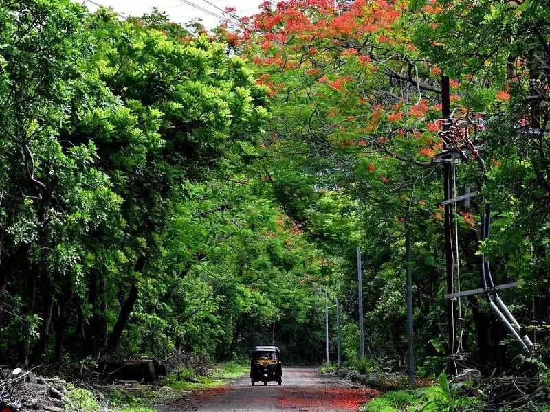 MNS Leader Ameya Khopkar Demands Govt Spare Nashik Trees, Cites Parth Pawar Case
