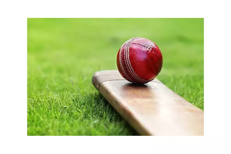 MP's Slim Hopes: Must Beat Punjab & Hope Andhra Upsets Jharkhand