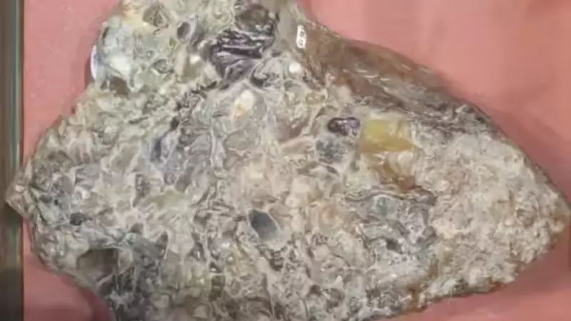 Mumbai Police Seize ₹80 Lakh Ambergris, Arrest Gujarat Man in Kurla