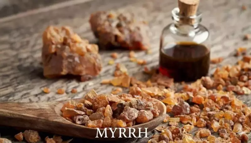 Myrrh: The Bitter Word That Refuses to Be Modern