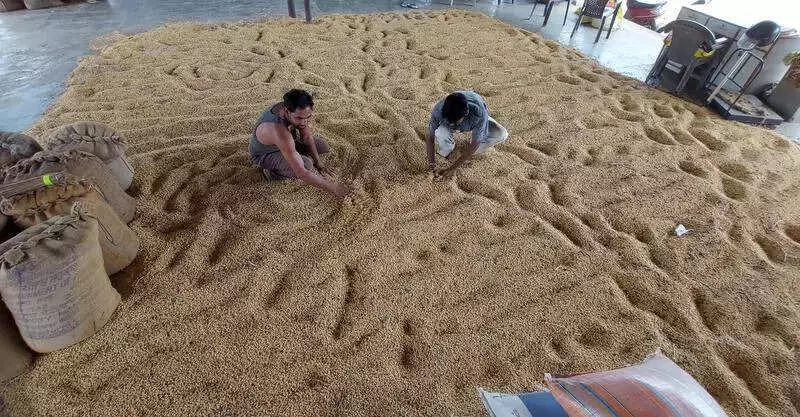 Nafed's MSP Procurement Rescues Pune Soybean Farmers, Buys 70 Tonnes at Rs 5,328/quintal