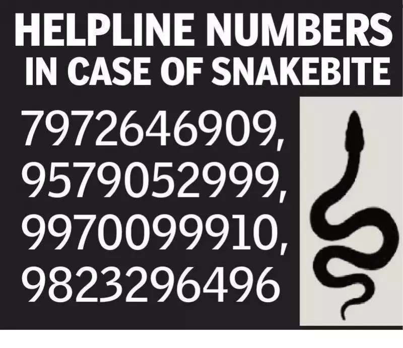 Nagpur Snake Bite Crisis: 5 Deaths in November, 4 Critical