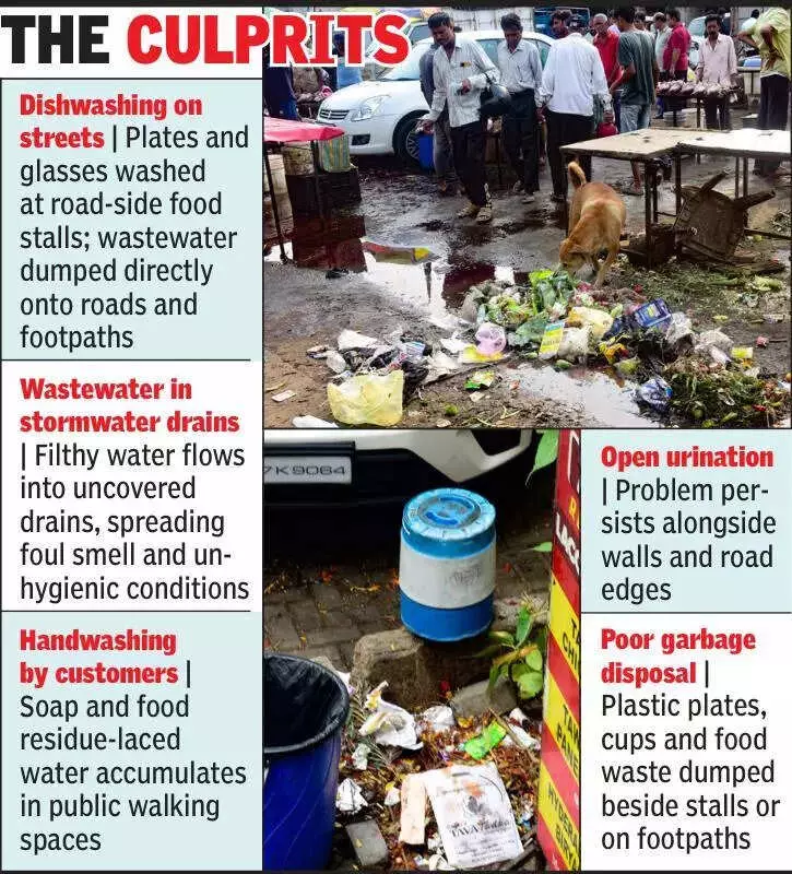Nagpur's Sanitation Crisis: Dirty Water, Open Urination & Garbage Piles Plague City