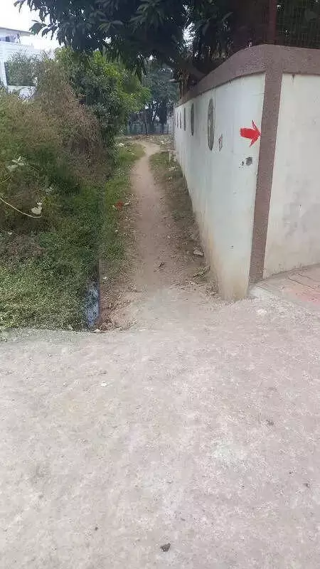 Nagpur's Stray Dog Menace Emerges as Critical Election Issue