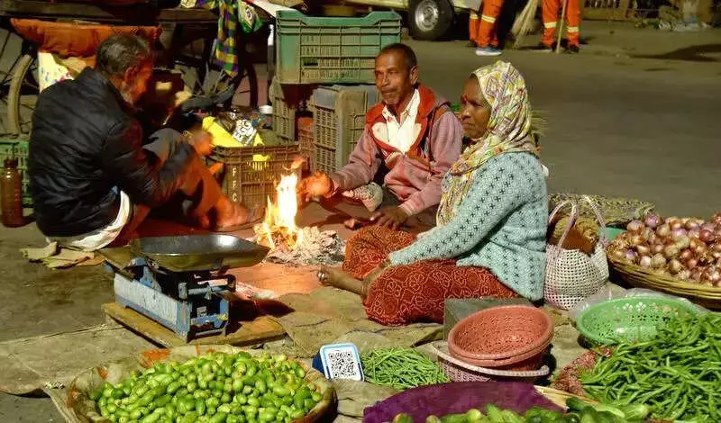 Nashik Shivers at 7.4°C, Season's Lowest, Sparking Grape Farmer Worries