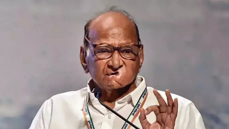 NCP-SP to Contest All Maharashtra Civic Polls, Targets Mahayuti Ahead of Jan 15 Elections