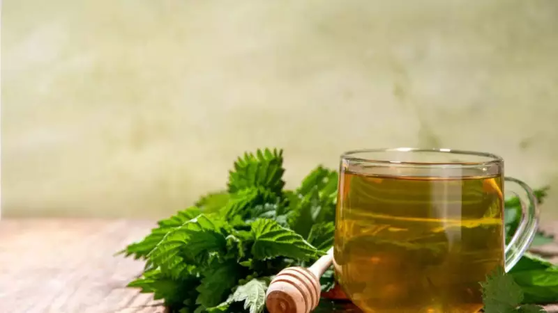 Nettle Tea Benefits: From Prostate Health to Blood Sugar Control