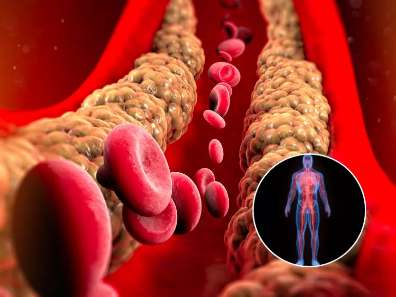 New Study Reveals Hidden Cholesterol Traffic Jam That Can Trigger Brain Disease