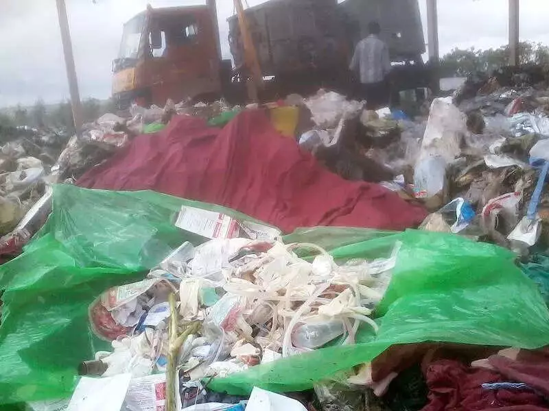 NGT Slams Punjab Over Sangrur's Waste Crisis, Seeks Action by Feb 2026