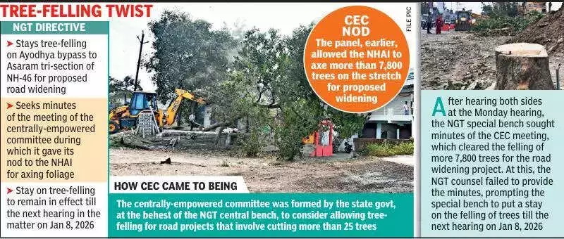 NGT Stays Felling of 7,800 Trees for NH-46 Widening in Bhopal