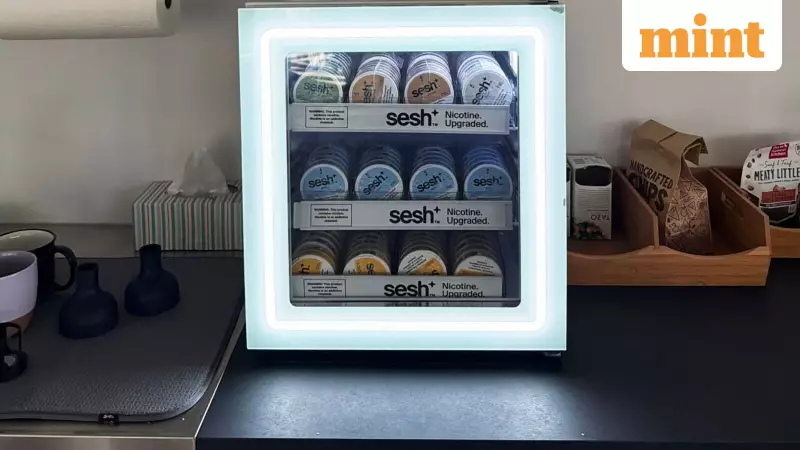 Nicotine Pouches: The New Tech Perk Boosting Focus, Sparking Health Debate