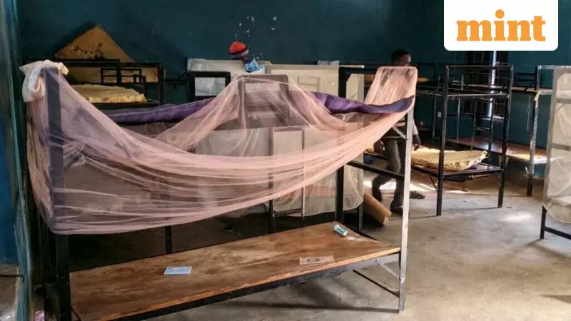 Nigeria Secures Release of 100 Kidnapped Schoolchildren, 165 Still Missing