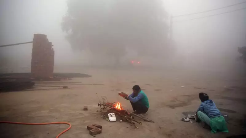 North India Braces for Intense Cold Wave, Dense Fog Till Dec 28: IMD