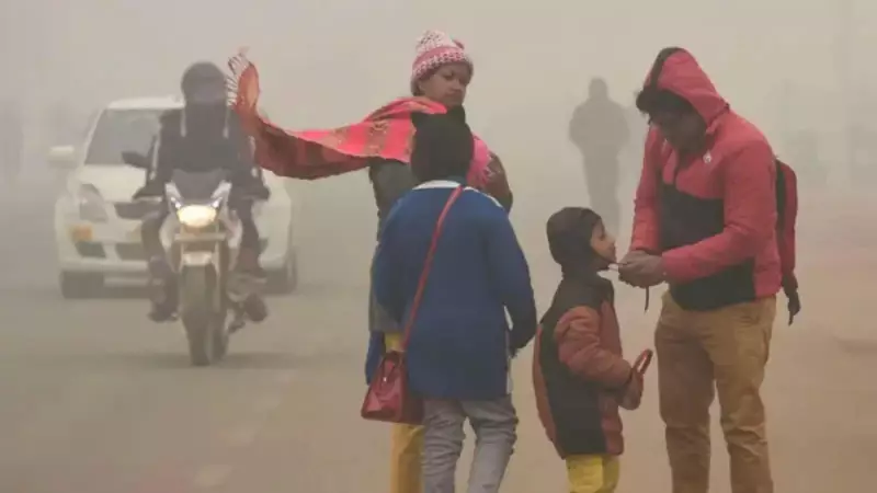 North India Shivers: Schools Closed, Timings Revised as Cold Wave Intensifies