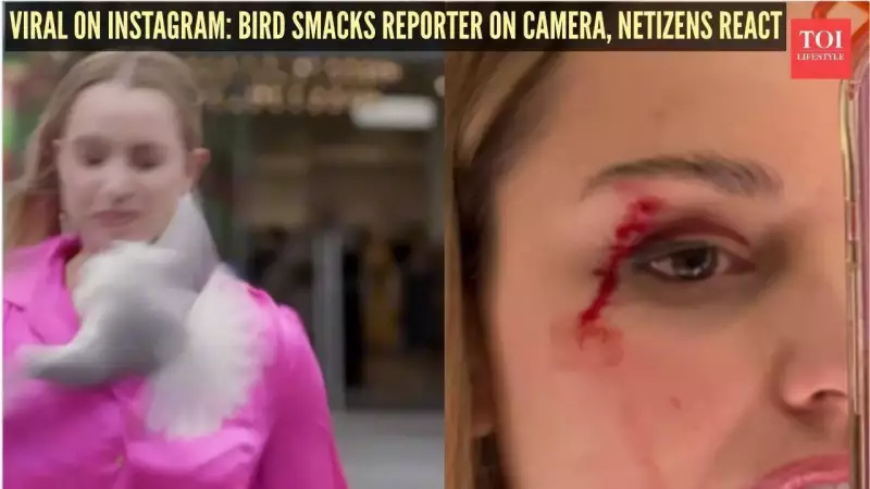 NZ Reporter Jessica Tyson Hit by Seagull During Live Shoot, Video Goes Viral