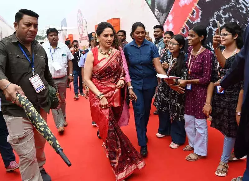 Odisha Govt Sanctions Rs 1.6 Crore for Madhuri Dixit as Handloom Ambassador