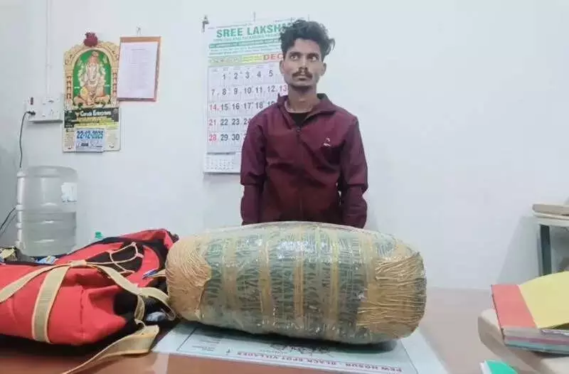 Odisha Labourer Arrested in Hosur with 6.3 Kg Ganja from Karnataka Border