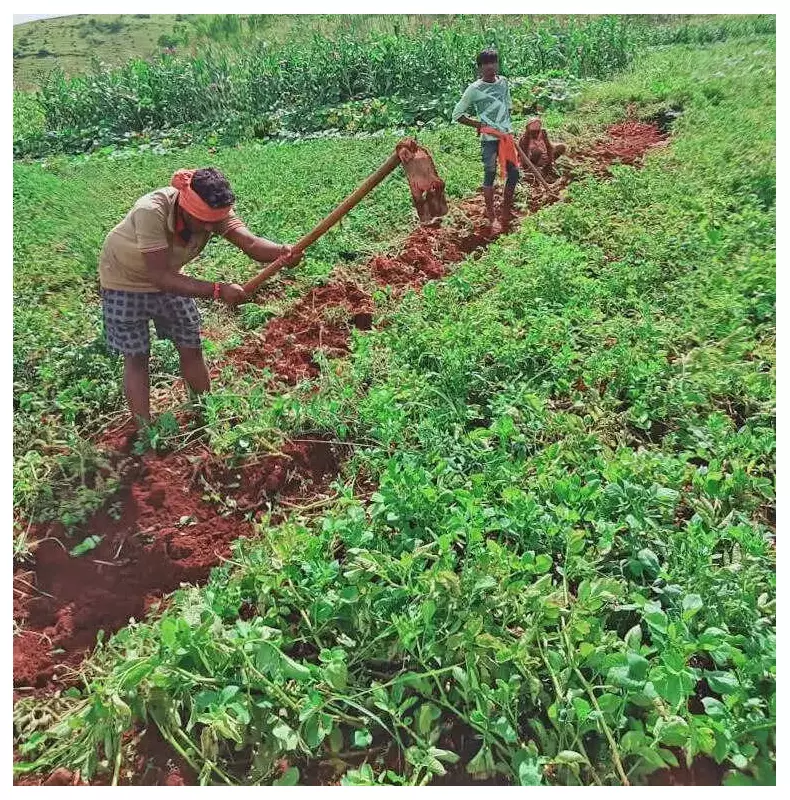 Odisha Launches Impact Study for Upper Indravati & Lower Suktel Irrigation Projects