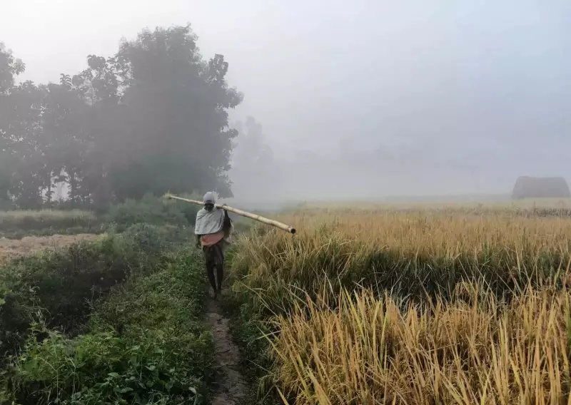 Odisha Shivers as Cold Wave Intensifies, G Udayagiri Records 4.4°C