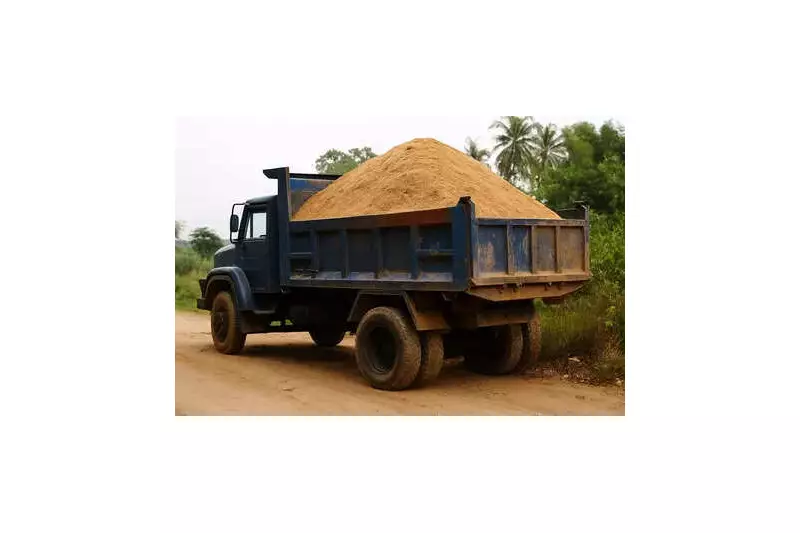 Odisha Suspends 2 Mining Officials Over Alleged Sand Mafia Nexus