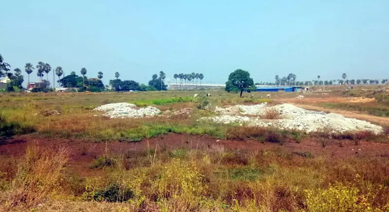 Odisha to Resolve Jagannath Temple Land Disputes in 45 Days, Amend 1955 Act