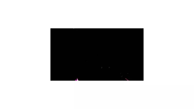 One Piece Singer's Shanghai Concert Abruptly Halted Amid China-Japan Tensions