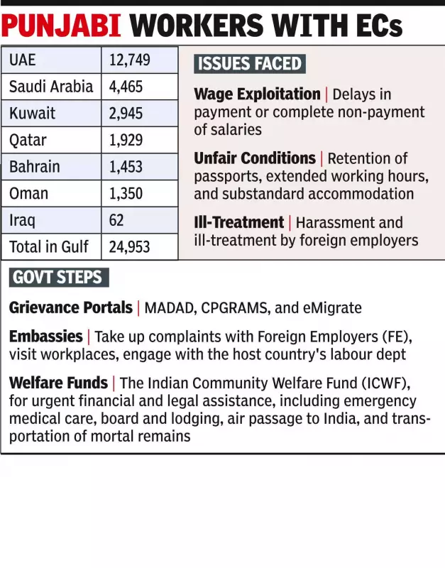 Over 25,000 Punjabis in Gulf Face Exploitation: Govt Data Reveals Harsh Reality
