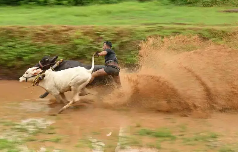 Palakkad Municipality Polls: Confusion, Infighting & Civic Issues Dominate