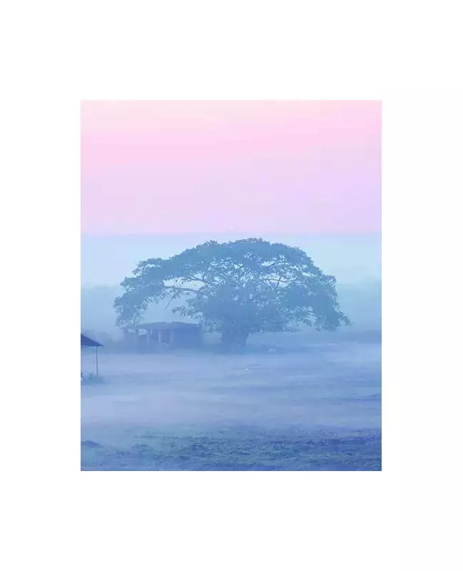 Panaji Winter Chill Eases: Mercury Rises to 19.5°C After Season's Low