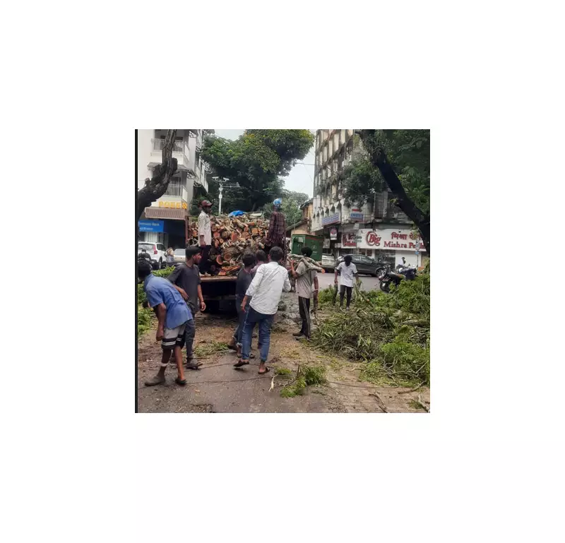 Panaji's Historic Trees Felled: Residents Decry Environmental Neglect