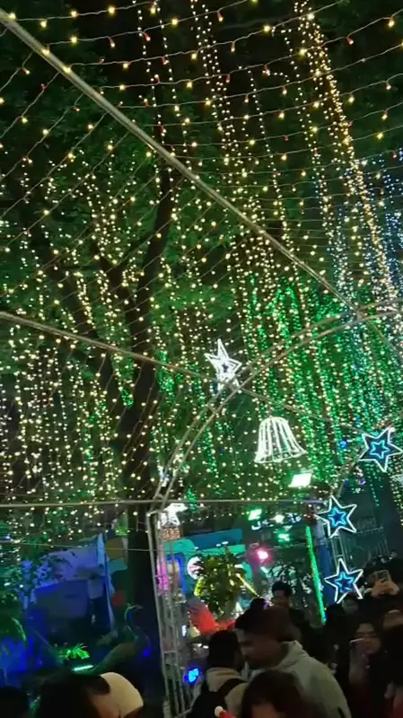 Park Street Christmas 2025: A Musical Celebration with Rekha Bhardwaj, Parween Sultana