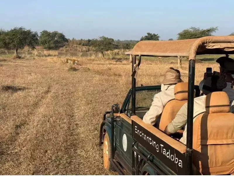 Parliamentary Panel Visits Tadoba Tiger Reserve, Reviews Mining & Tourism Impact