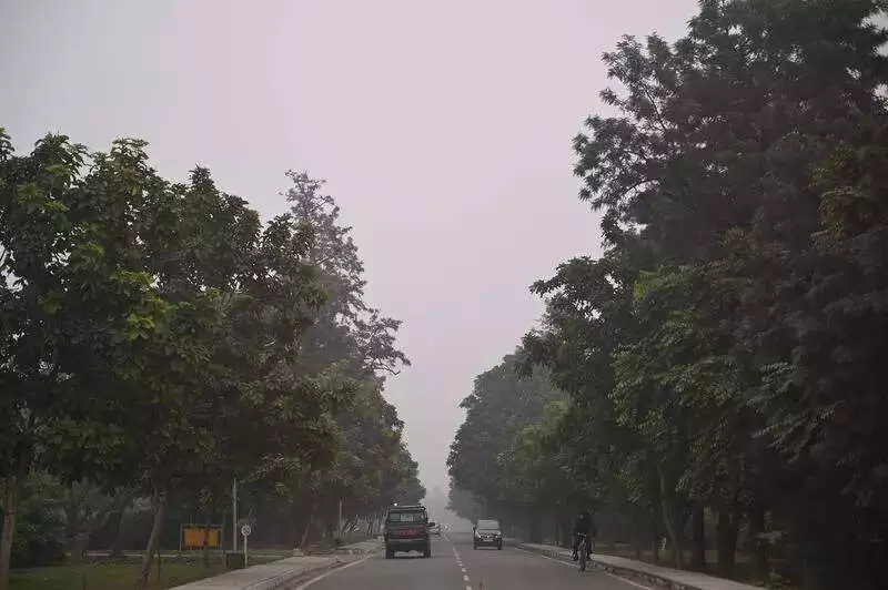 PAU Ludhiana Reviews Road Plan After Student Protest, Aims to Save 94 Trees